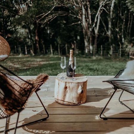 Blackwood Cabin Raglan Exteriör bild